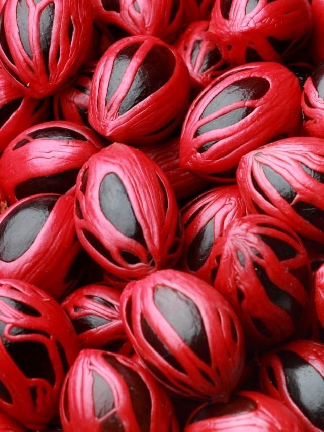 natural and pure spices from kerala farms